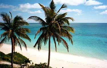 Bahamas Water and Beach