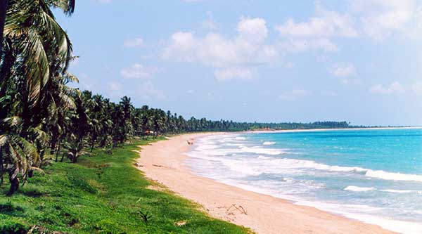 Caribbean Beaches